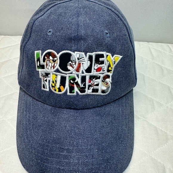 Six Flags Other - Looney Tunes Cap Hat Embroidered Six Flags Blue Adjustable Snap Cotton Canvas